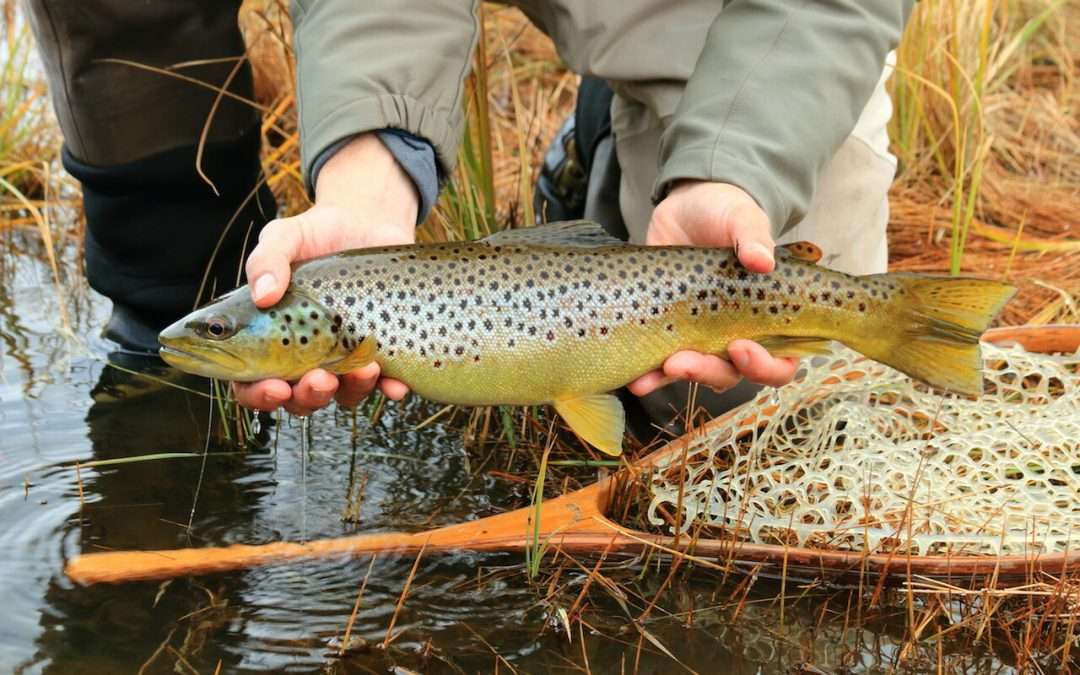 Fishing Report – 9/18/26