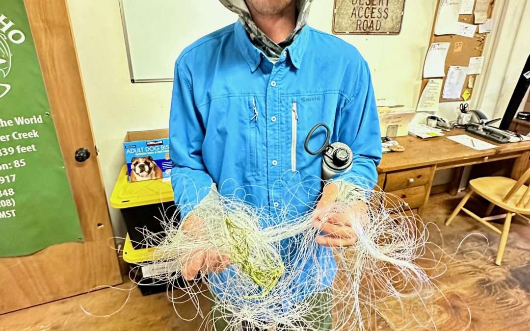 Fishing Report 06/26/24