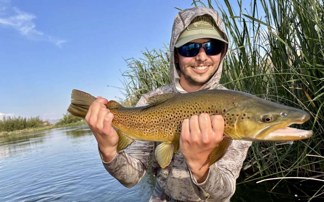 Fishing Report – 7/31/26