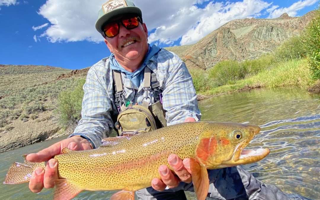Fishing Report 7/17/26
