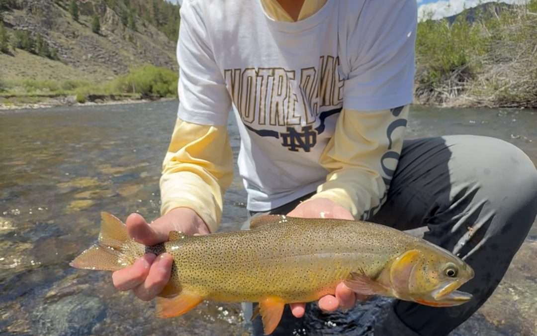 Fishing Report – 7/24/26