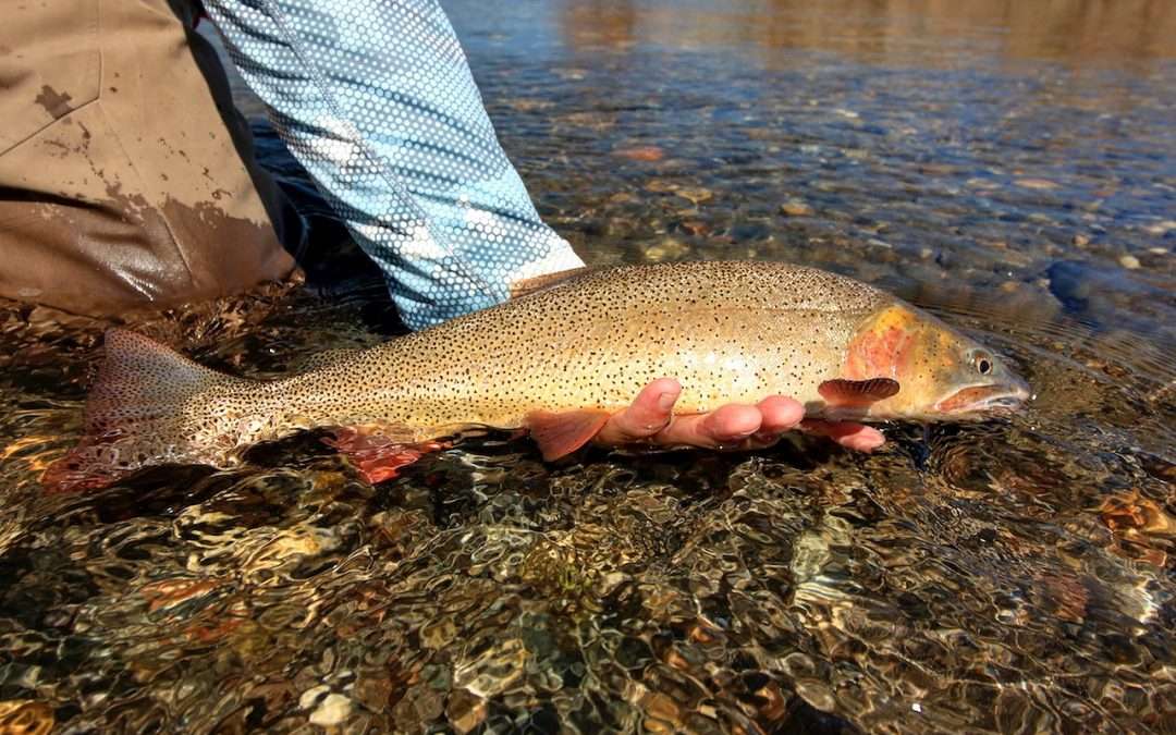 Fishing Report – 8/7/26