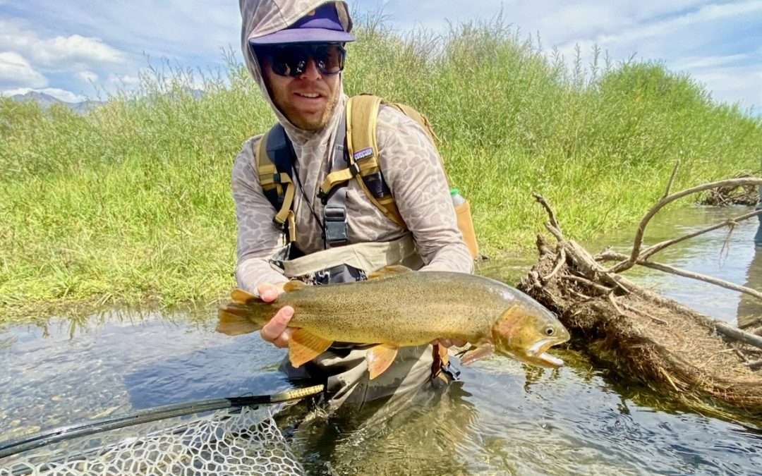 Fishing Report – 9/11/26