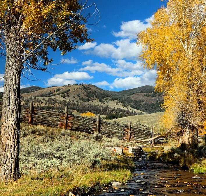 Fishing Report – 10/9/26